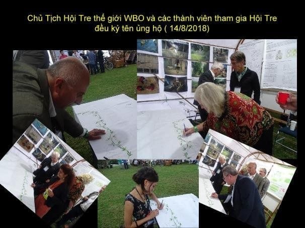 Con đường tre Việt Nam