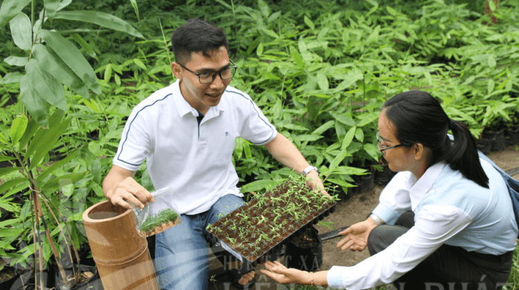 HTX Liên Xuân Phát