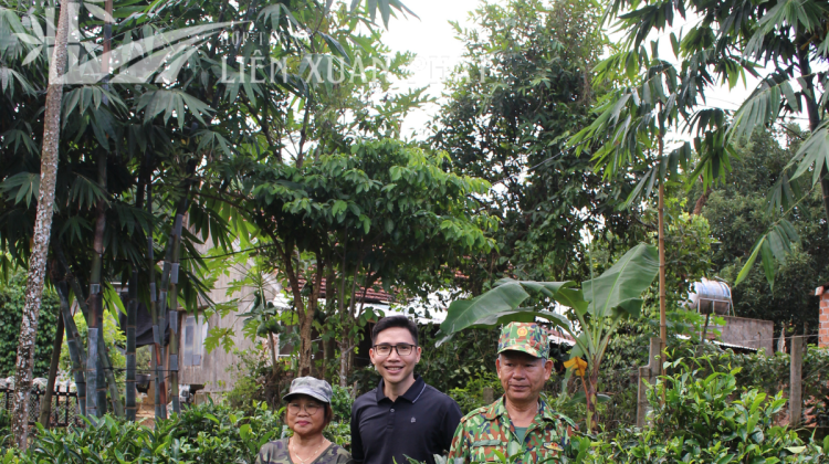 Hợp Tác Xã Nông Lâm Nghiệp Và Dịch Vụ Liên Xuân Phát