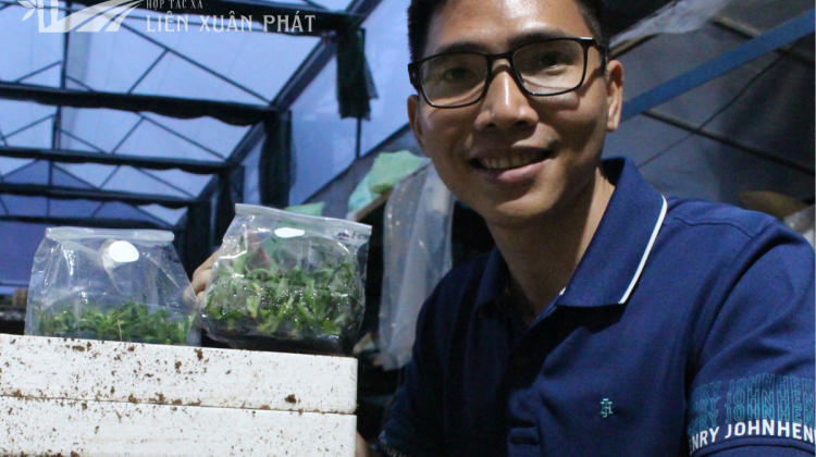 Hợp Tác Xã Nông Lâm Nghiệp Và Dịch Vụ Liên Xuân Phát