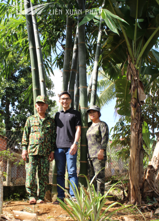 Hợp Tác Xã Nông Lâm Nghiệp Và Dịch Vụ Liên Xuân Phát