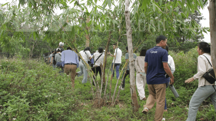 HTX Liên Xuân Phát