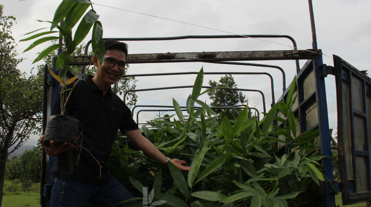 Hợp Tác Xã Nông Lâm Nghiệp Và Dịch Vụ Liên Xuân Phát