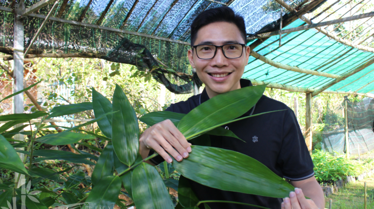 Hợp Tác Xã Nông Lâm Nghiệp Và Dịch Vụ Liên Xuân Phát