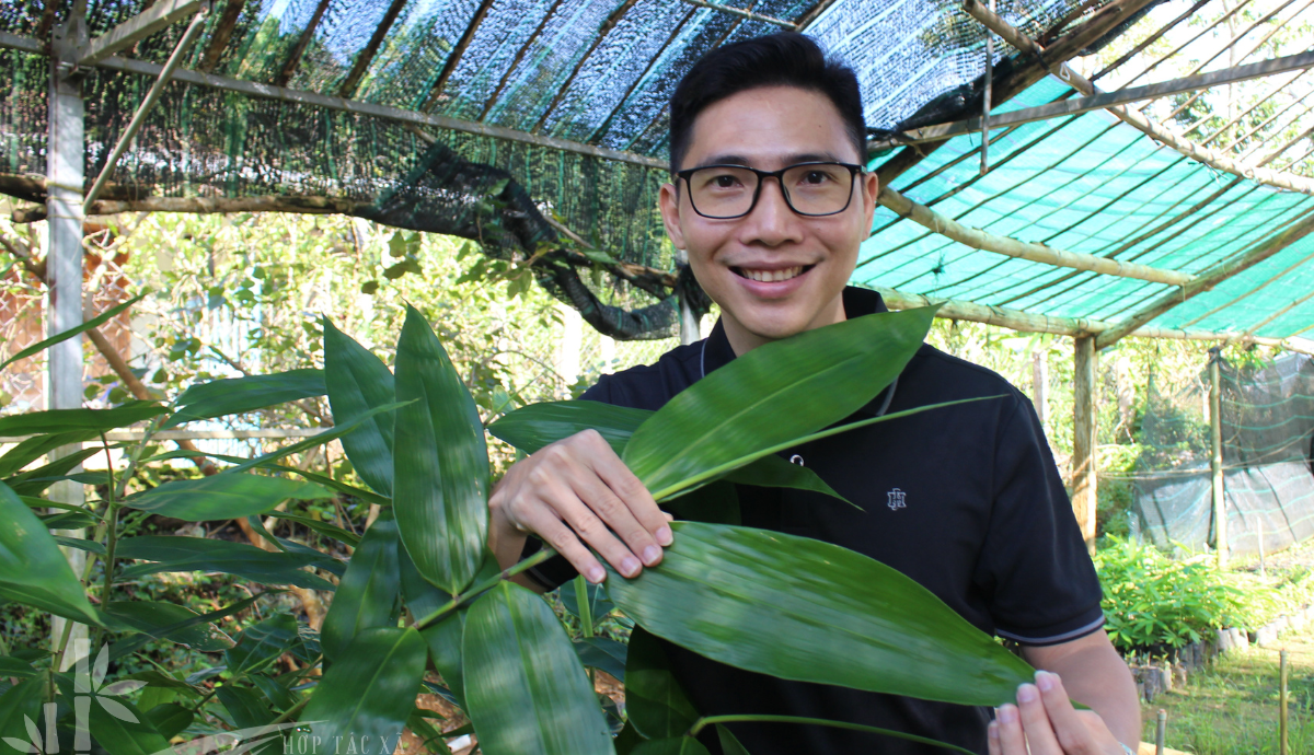 Hợp Tác Xã Nông Lâm Nghiệp Và Dịch Vụ Liên Xuân Phát