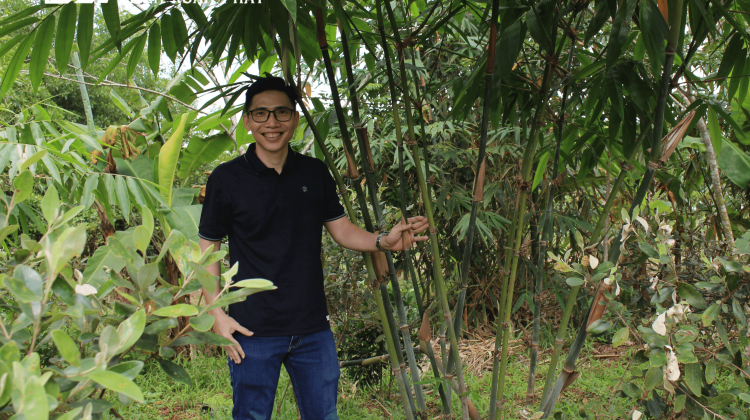 HTX Liên Xuân phát