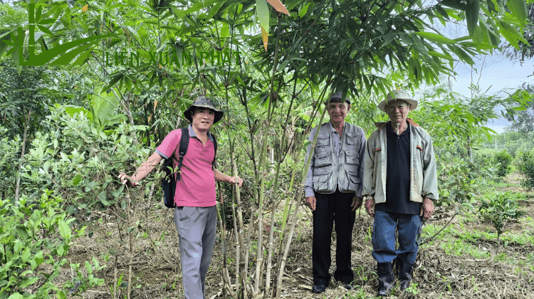 HTX Liên Xuân Phát