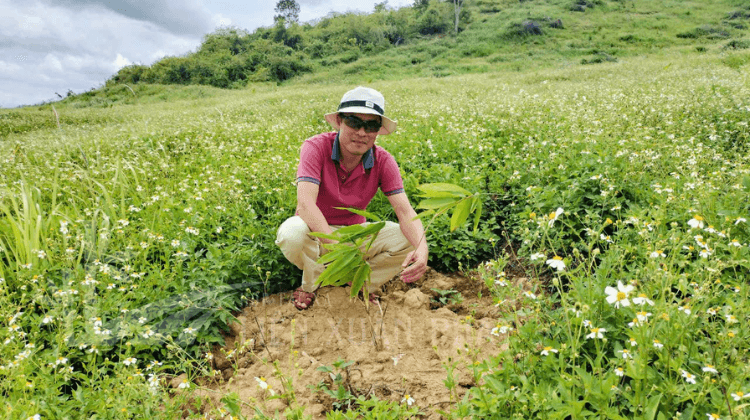 HTX Liên Xuân Phát