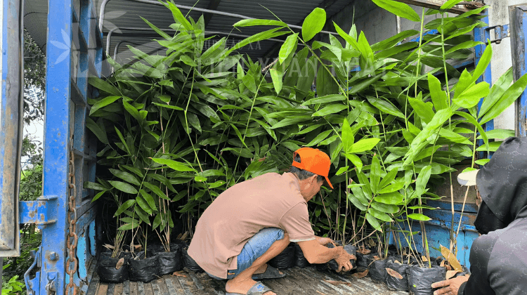 HTX Liên Xuân Phát