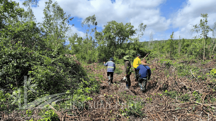 HTX Liên Xuân Phát
