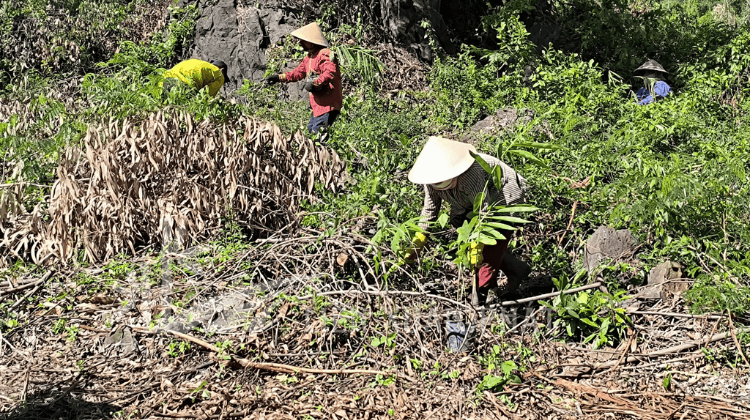HTX Liên Xuân Phát