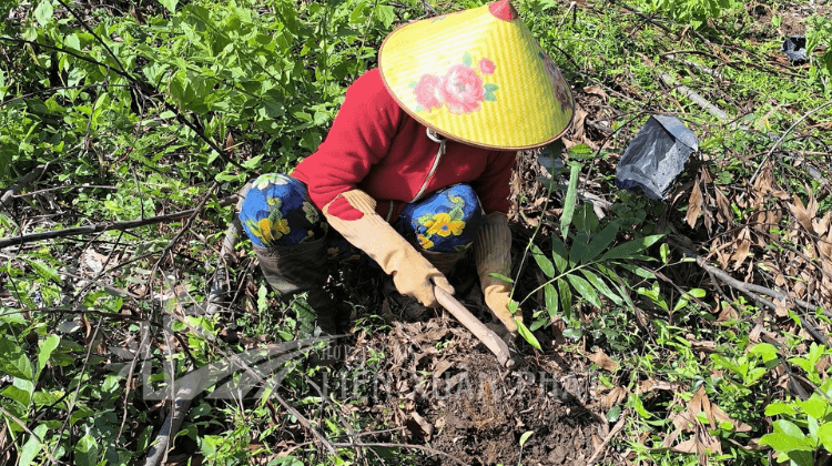 HTX Liên Xuân Phát