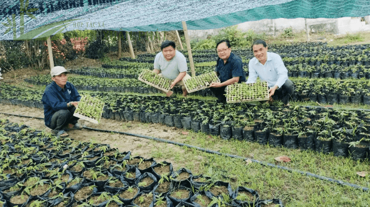 HTX Liên Xuân Phát