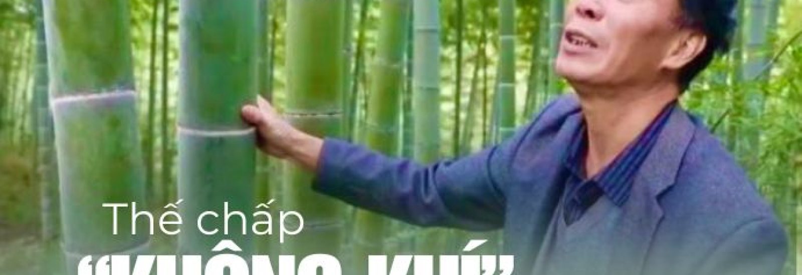 Kiếm tiền từ tín chỉ carbon qua trồng tre